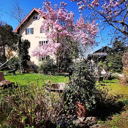 Tauernradweg Apartment: Spacious 3-Room Stay Near Salzburg Hallein Exterior photo